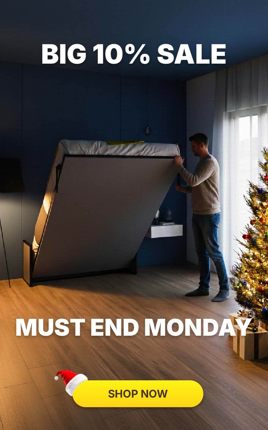 Wall Bed King murphy beds