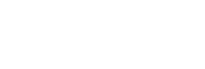 Wall Bed King logo